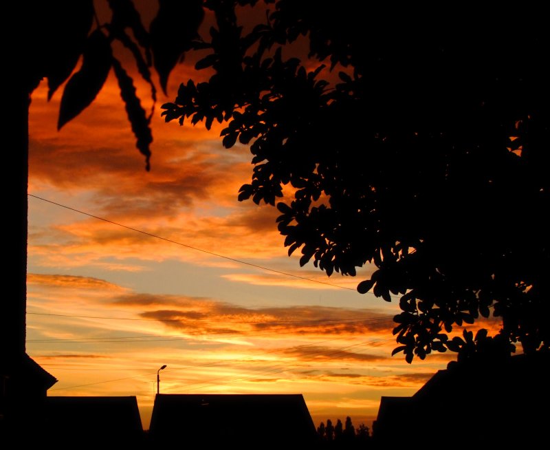 Evening  light  after  the  storm