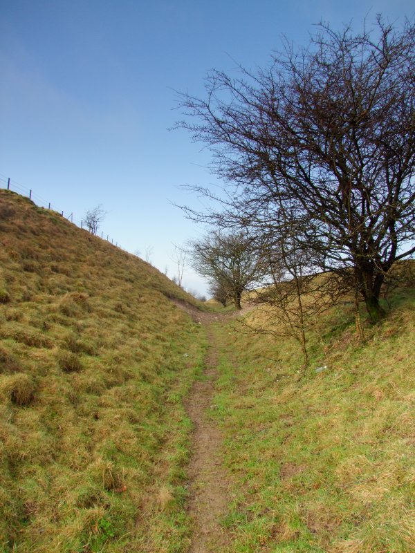 Looking  west  to  the  summit  on  Morgans  Hill.
