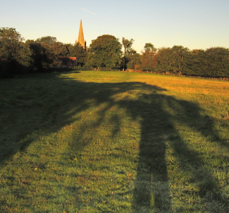 Chiddingly  spire  bathed  in   morning  sunlight.