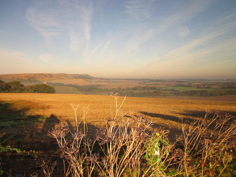 Looking  west  across  the  Cuckmere  Gap , to  the  Firle  Beacon