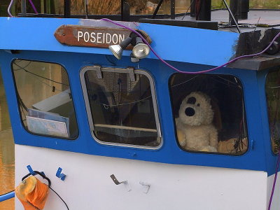 This 'ere cap'n's an old sea dog!