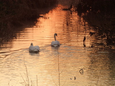 And so,the pair sloped off into the sunrise.......