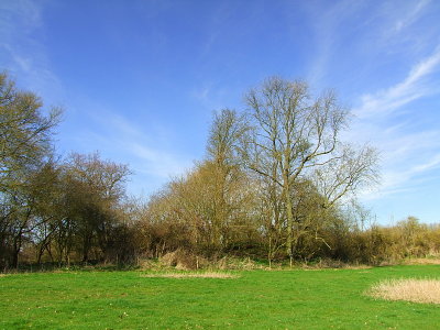 Lindsey Castle :looking across the bailey to the west wall