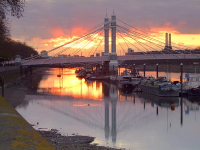 Albert Bridge in the dawn