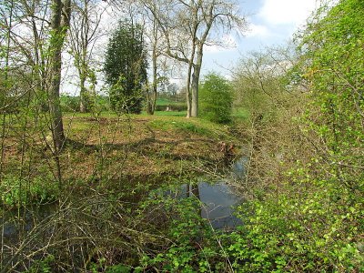 Motte with fully wet moat at Edwyn Ralph.