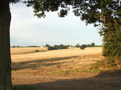 Brown's farm land.