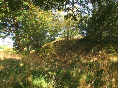 Hyssington  Castle ; the  motte