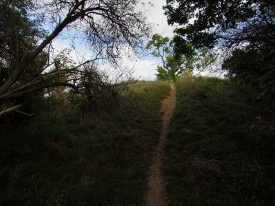 Flitwick  Castle / 2