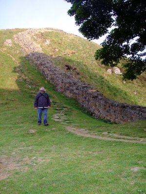 Hadrian's  Wall, at Sycamore  Gap,looking  west.