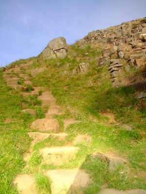 World Heritage Trail  footpath, neatly   ascends  the  hill  from  Sycamore  Gap.