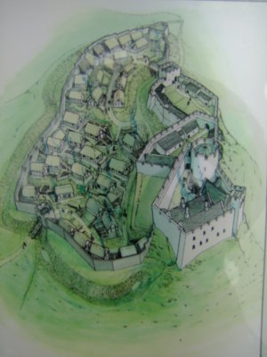 Castell   Dryslwyn  and  Town  Borough.