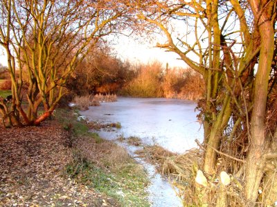 On a cold and sunny winter's afternoon.