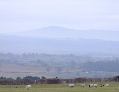 Clee  Hill  in  the  mists.