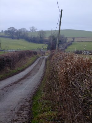 The  road  to  Aldon.