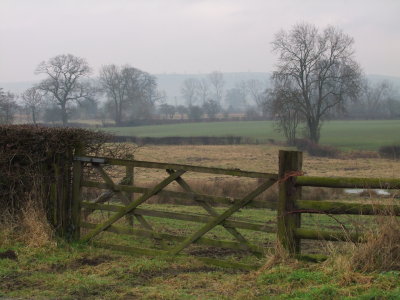 Looking  towards  Lydham, on  a  misty  afternoon.
