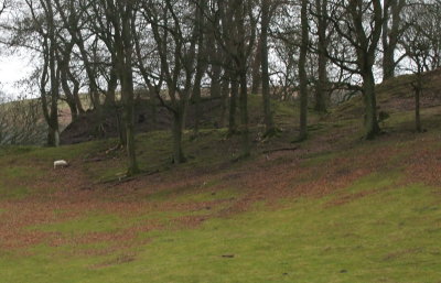 Brockhurst  Castle / 1