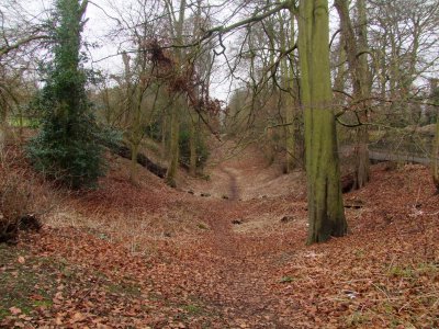 Verulamium  town  walls ,remains thereof / 2