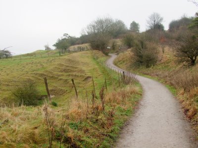 The  Roman  Road  on  Morgan's  Hill.