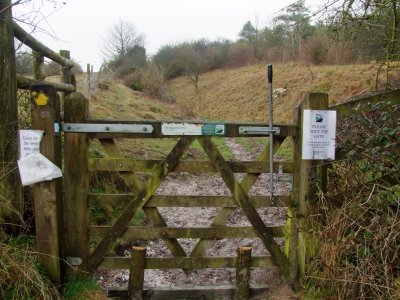 Gate  leading  to  Wansdyke  on  Morgan's  Hill.