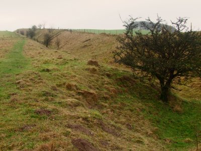 Wansdyke   re-appears  at  the  top  of  the  hill
