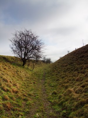 Cutting  across  the  crown of  Morgan's  Hill.