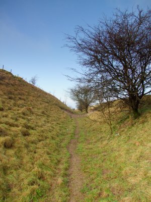 Looking  west  to  the  summit  on  Morgan's  Hill.