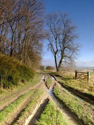 Wansdyke  crosses  this  track, L  to  R ,via  the  gate.