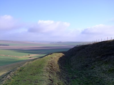 Looking  north  east  from  Wansdyke.