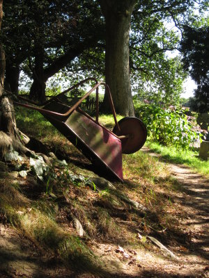 The old wheelbarrow