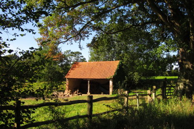 The Woodshed