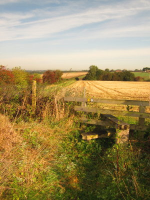 Looking  back  from  the  railway.