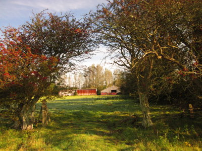 Farm  buildings  near  Milton  Gate.