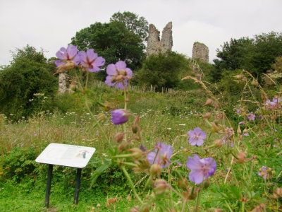 Wigmore  castle  ruins