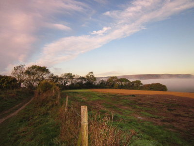 Morning  mist.