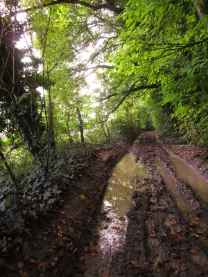 The  lane  was  rather  muddy, here  and  there.