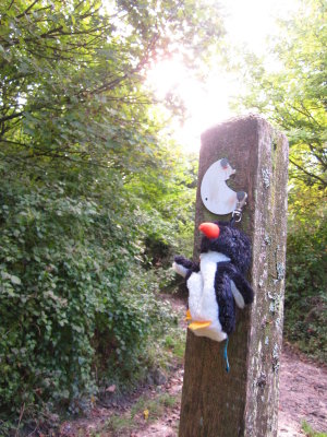 Mr Flibble got here first !