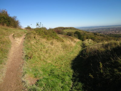 Looking  down  along  an  ancient  ditch.