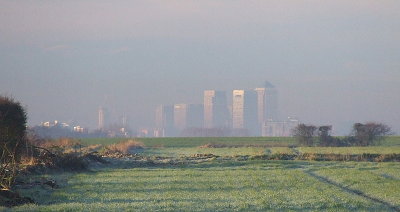 Canary Wharf on a frosty morning.