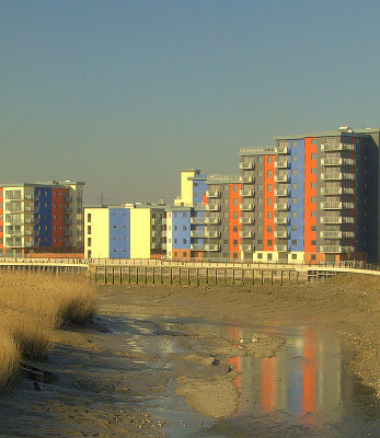 Barking Creek,with the tide out.