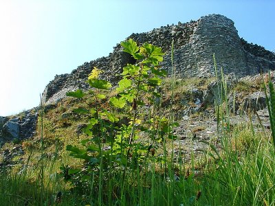 Montgomery Castle, remains, from  the  north  east  angle.