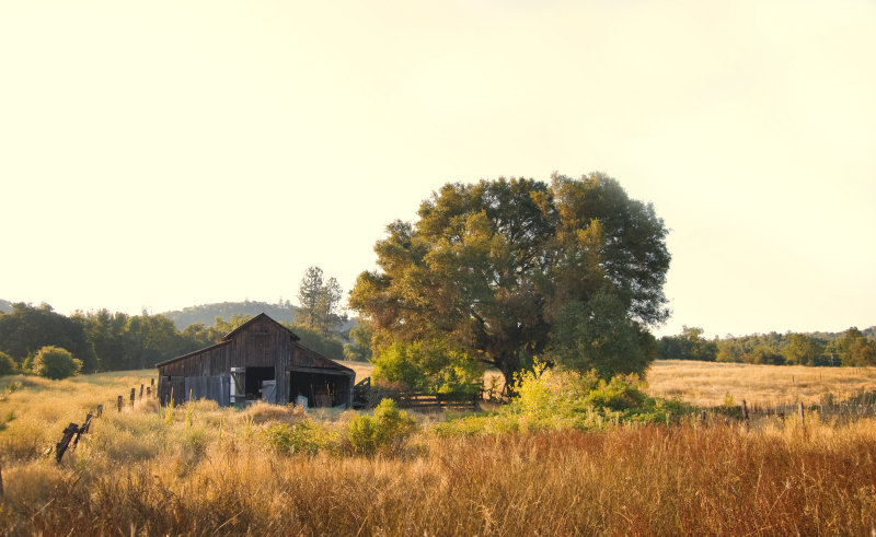 Barn_8578.jpg Full Sized