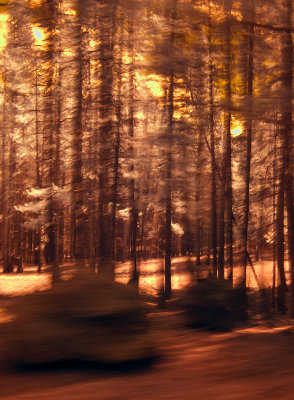 Drive By Infrared 0121