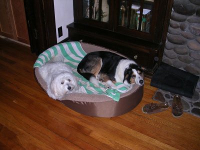 DSCN2763.jpg