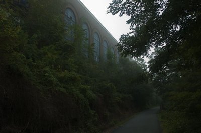 DSC_2982_2.jpg