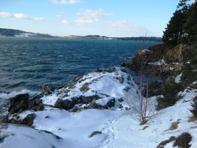 Deer Island Point - 24 January 2009