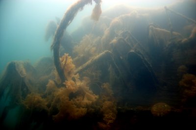 Three Whaling Wrecks