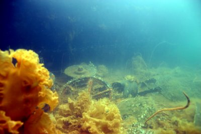 Three Whaling Wrecks