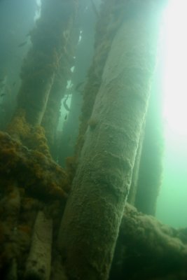 Passing through pilings to the wreck..