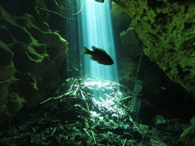 Florida Cave Diving 2008-2011