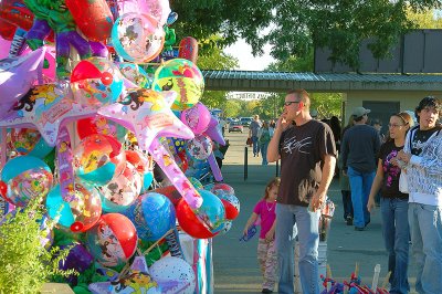 2008 Tehama County Fair Picture Entries